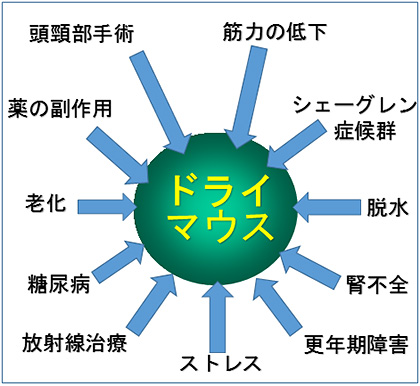 ドライマウスの原因