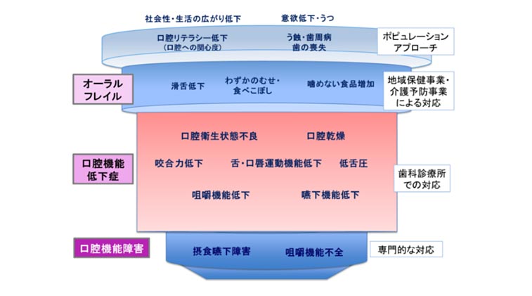 口腔機能低下症の概念図